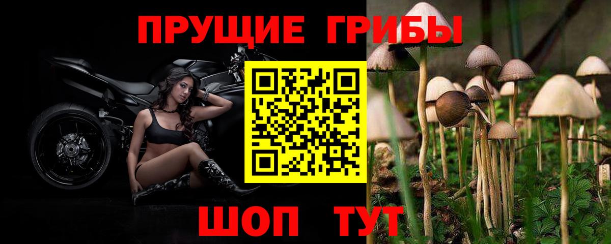 наркотики  Вход с VPN  Чайковский  Псилоцибиновые грибы ЛСД 