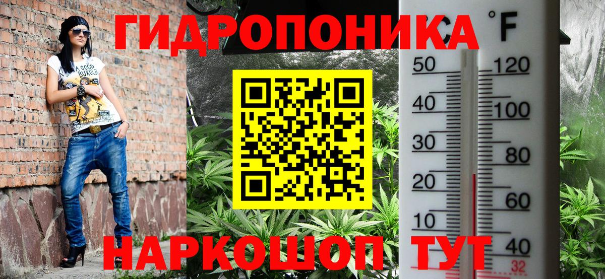 Каннабис Amnesia  Шишки марихуана тримм  Каннабис индика  Вход с VPN  Чайковский 